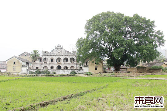 桐岭镇雅岗村:田间最美的村落——探寻来宾古村落